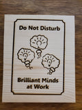 212738 Do Not Disturb Wood Plaque