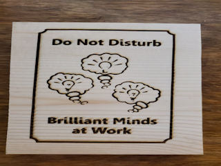 212738 Do Not Disturb Wood Plaque